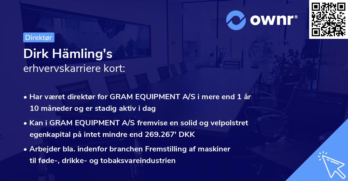 Dirk Hämling's erhvervskarriere kort