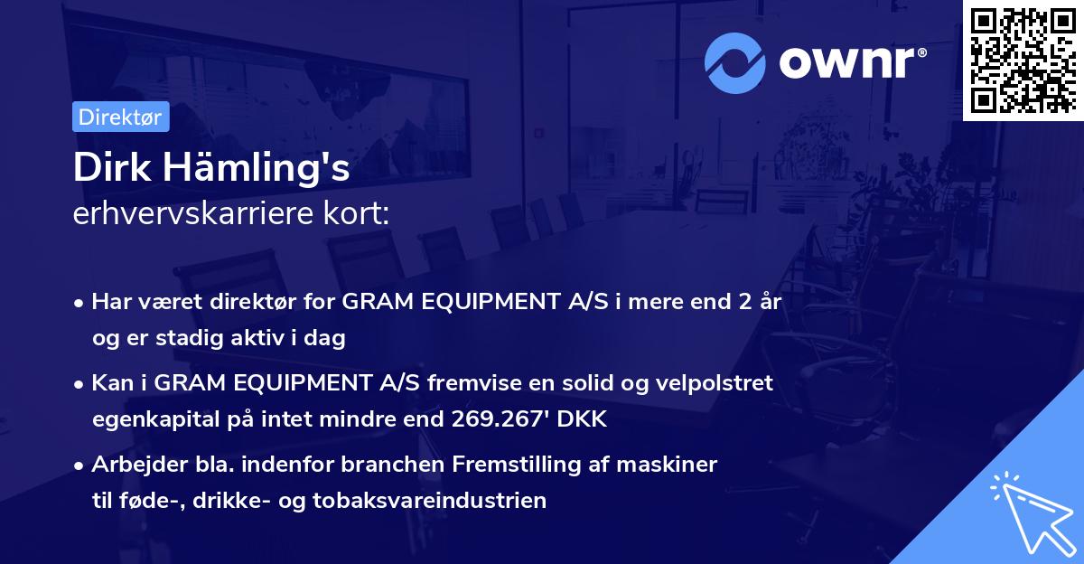 Dirk Hämling's erhvervskarriere kort