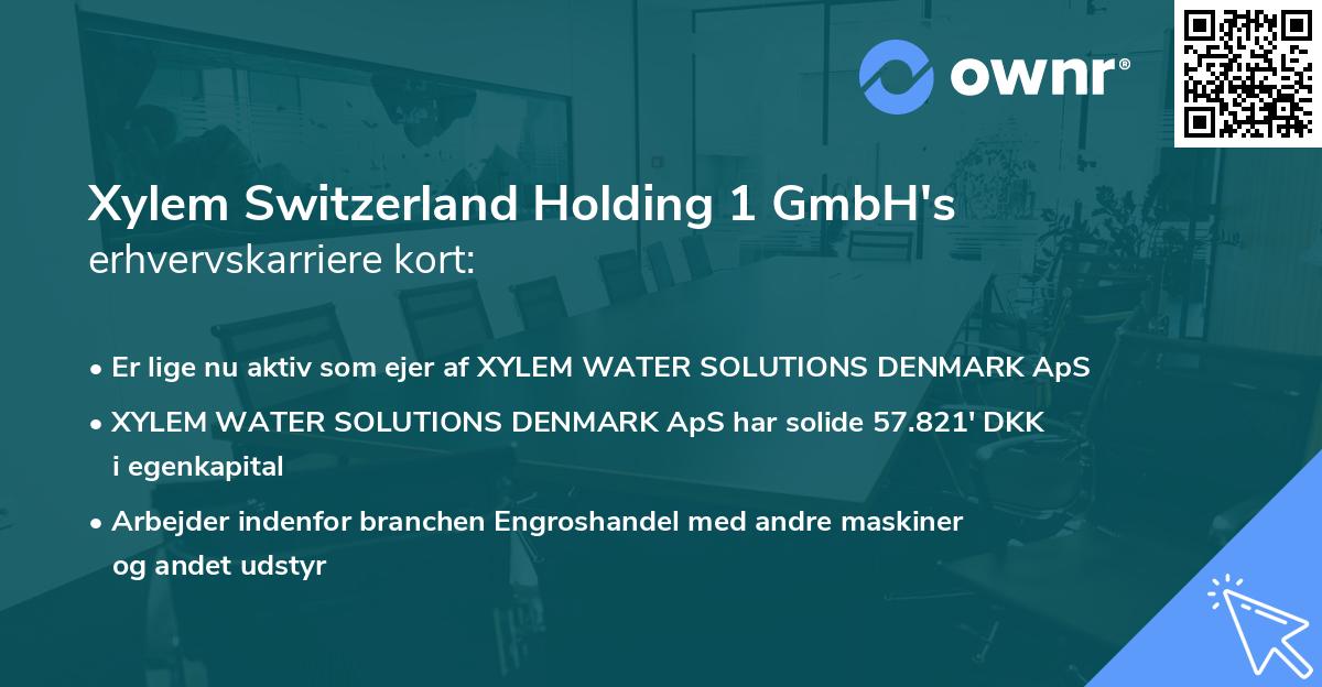 Xylem Switzerland Holding 1 GmbH's erhvervskarriere kort