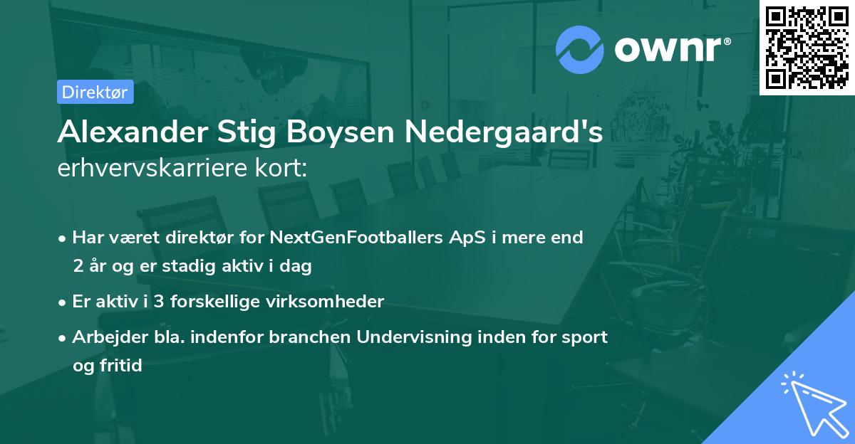 Alexander Stig Boysen Nedergaard's erhvervskarriere kort