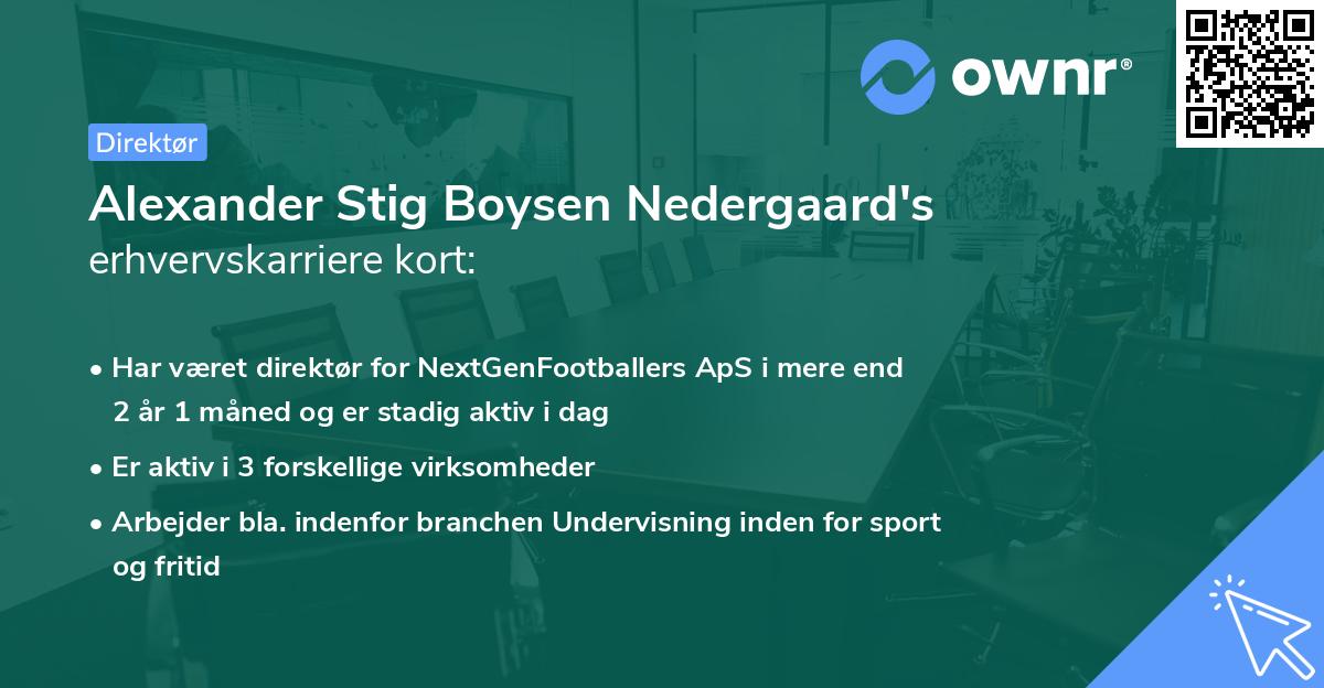 Alexander Stig Boysen Nedergaard's erhvervskarriere kort