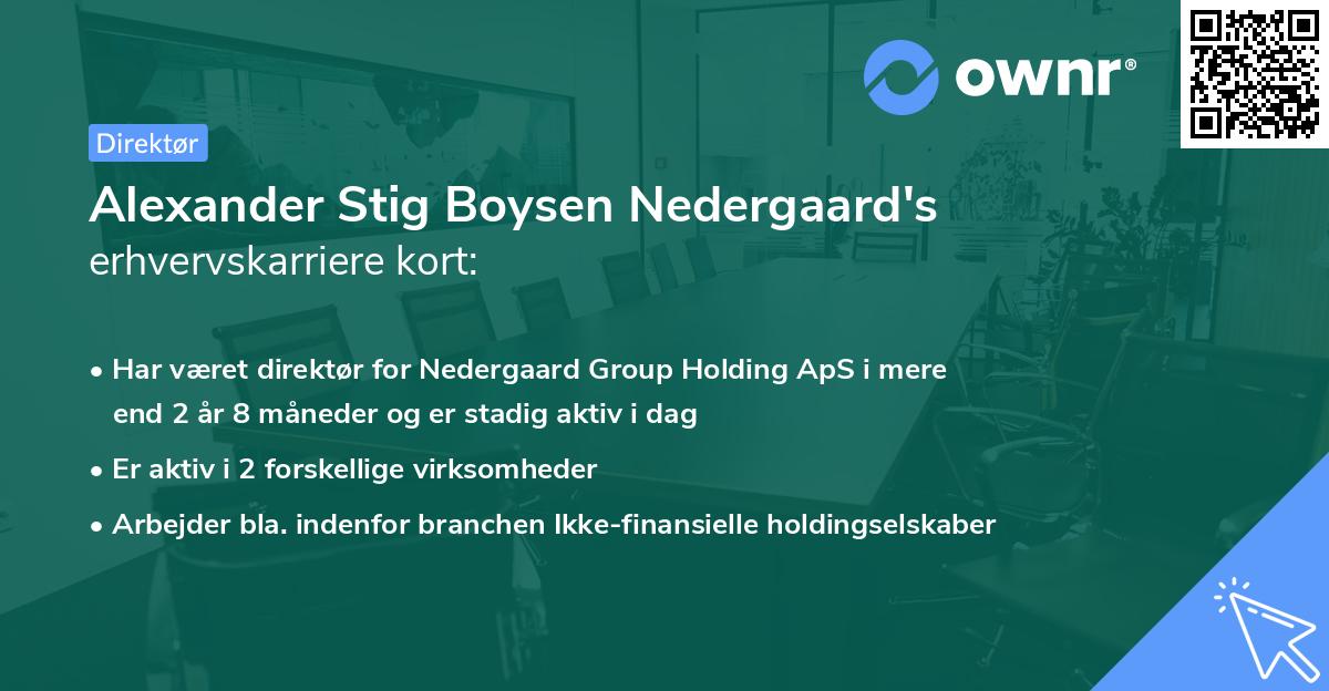 Alexander Stig Boysen Nedergaard's erhvervskarriere kort