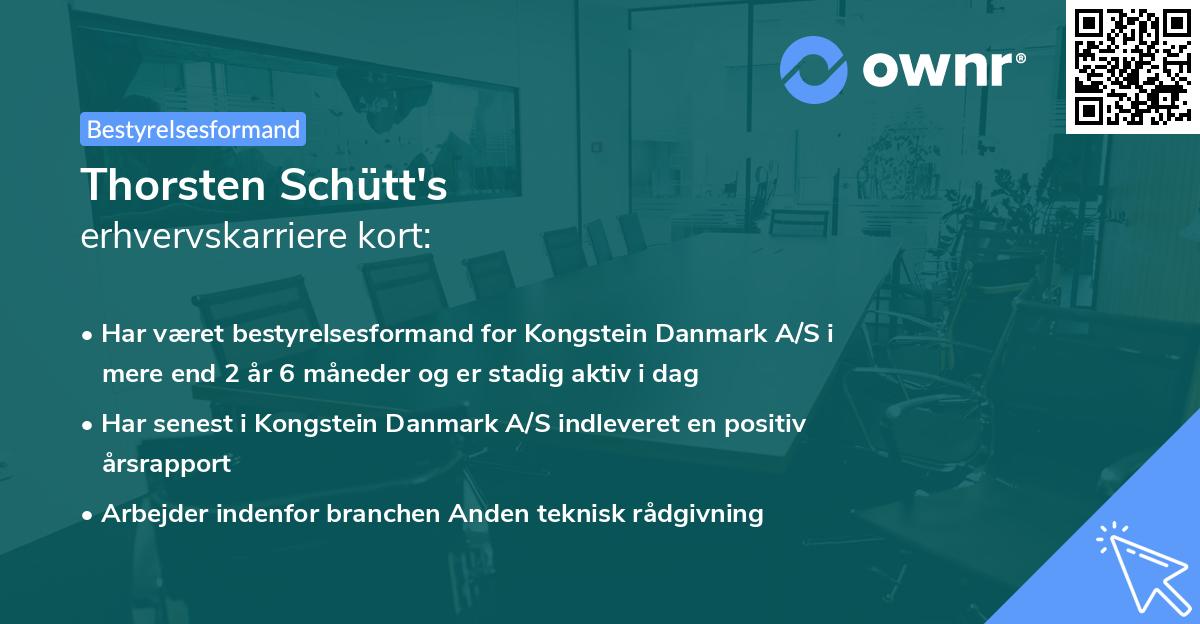 Thorsten Schütt's erhvervskarriere kort