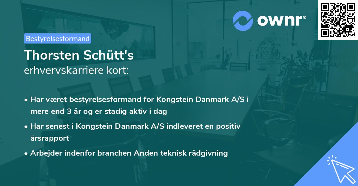 Thorsten Schütt's erhvervskarriere kort