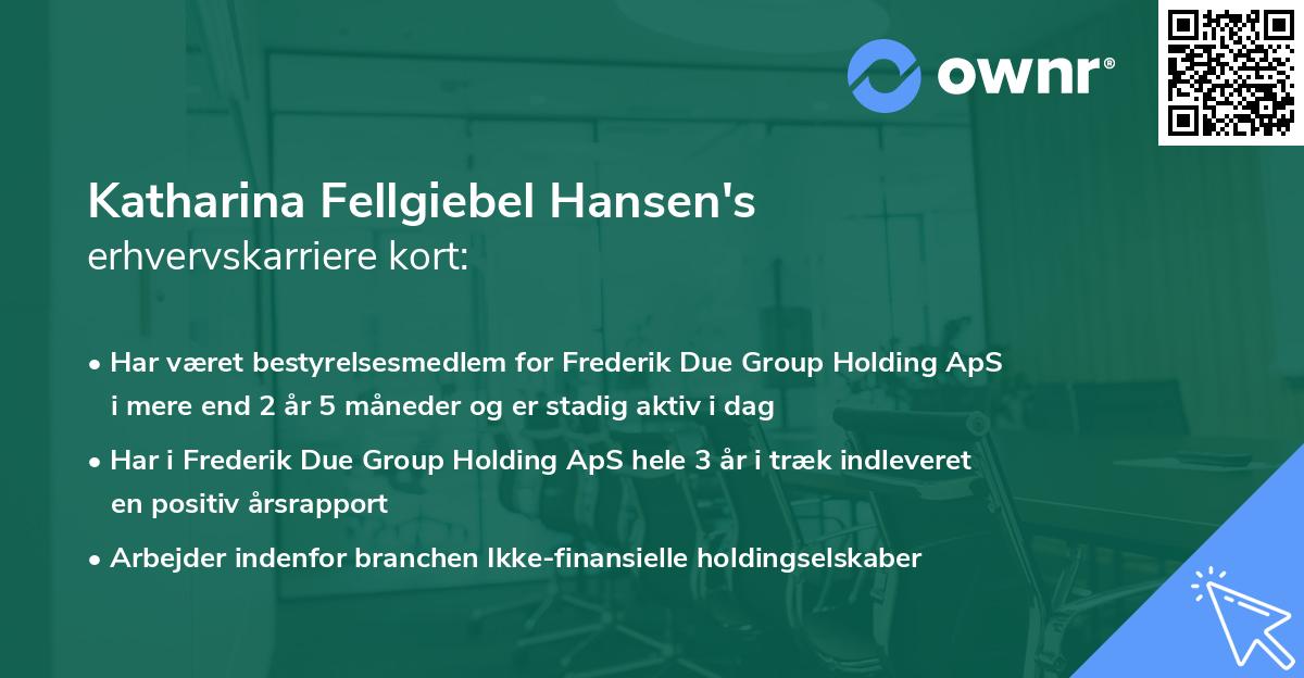 Katharina Fellgiebel Hansen's erhvervskarriere kort