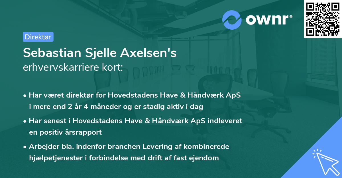 Sebastian Sjelle Axelsen's erhvervskarriere kort