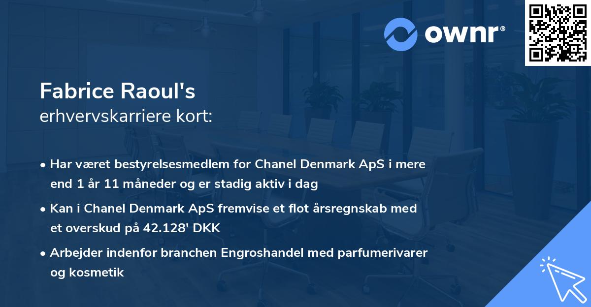 Fabrice Raoul's erhvervskarriere kort