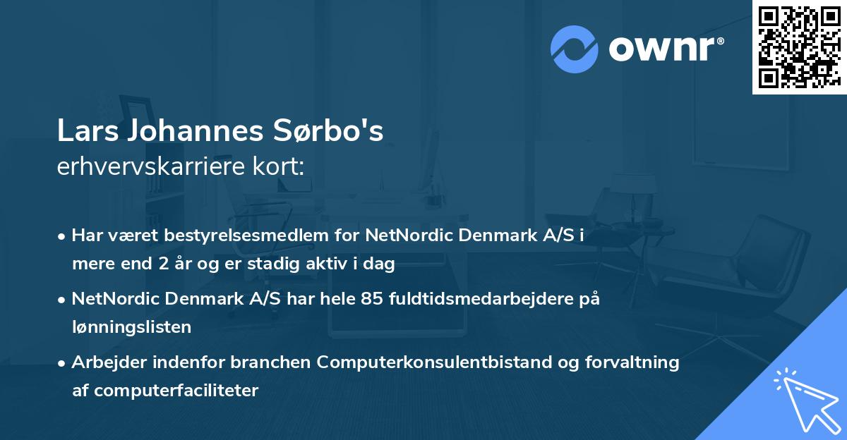 Lars Johannes Sørbo's erhvervskarriere kort