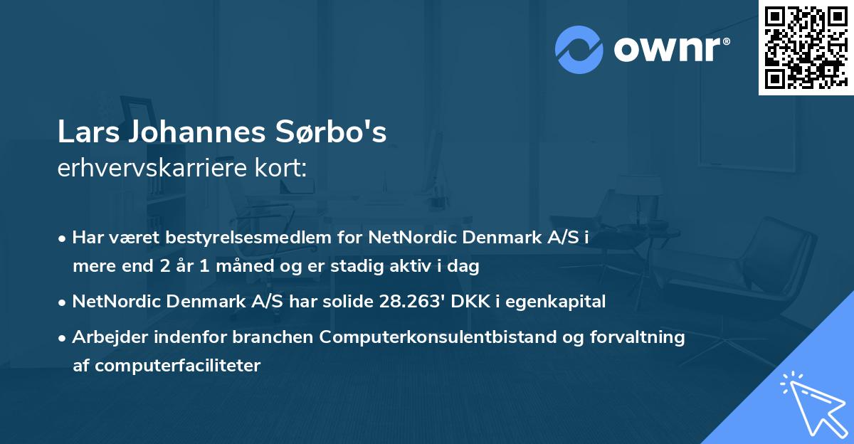 Lars Johannes Sørbo's erhvervskarriere kort