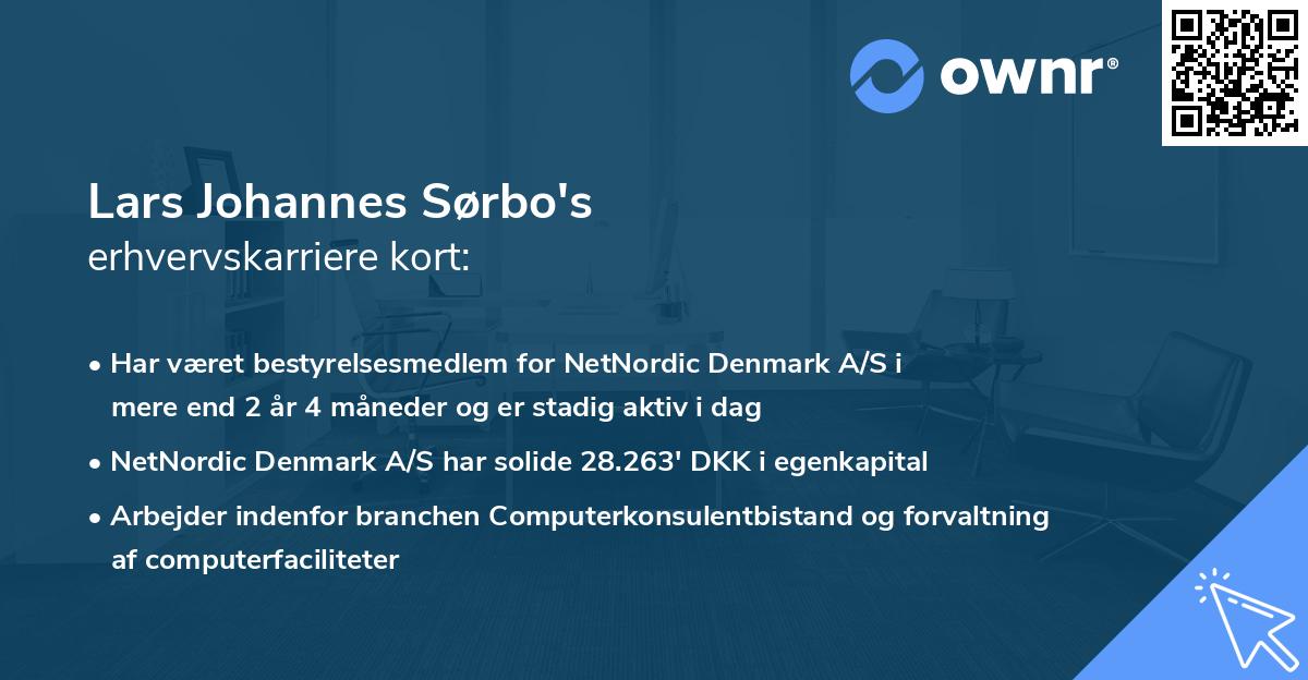 Lars Johannes Sørbo's erhvervskarriere kort