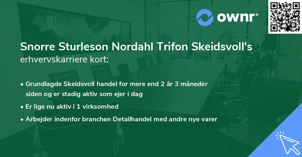 Snorre Sturleson Nordahl Trifon Skeidsvoll's erhvervskarriere kort