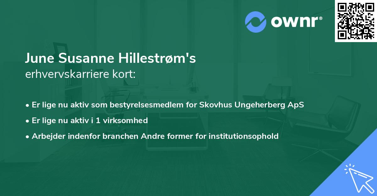 June Susanne Hillestrøm's erhvervskarriere kort