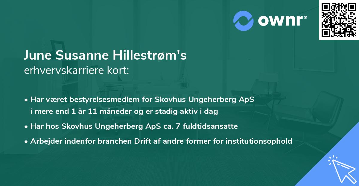 June Susanne Hillestrøm's erhvervskarriere kort