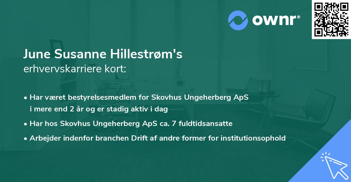 June Susanne Hillestrøm's erhvervskarriere kort