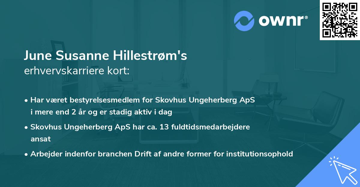 June Susanne Hillestrøm's erhvervskarriere kort