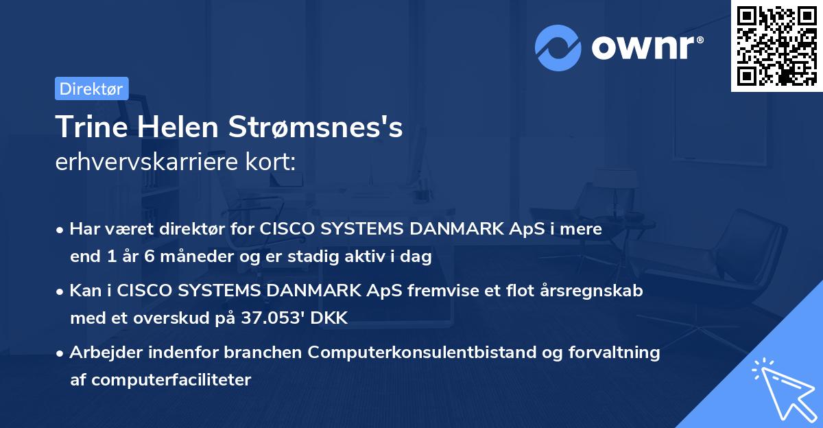 Trine Helen Strømsnes's erhvervskarriere kort