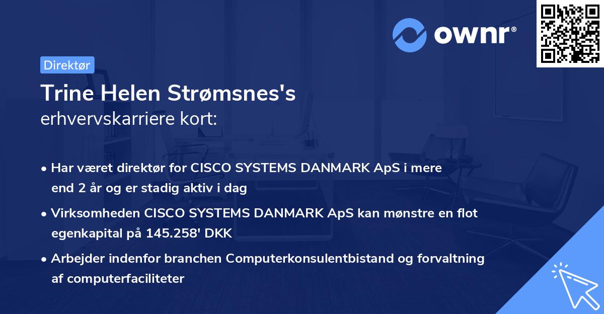 Trine Helen Strømsnes's erhvervskarriere kort