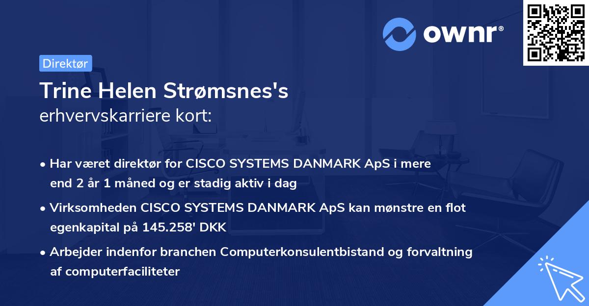 Trine Helen Strømsnes's erhvervskarriere kort