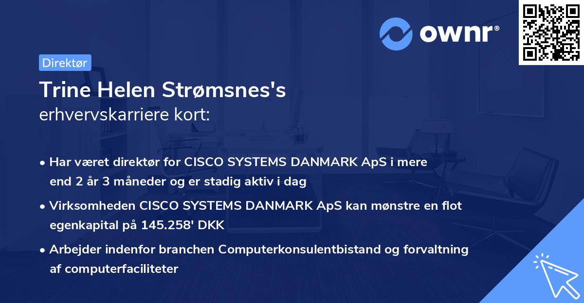 Trine Helen Strømsnes's erhvervskarriere kort