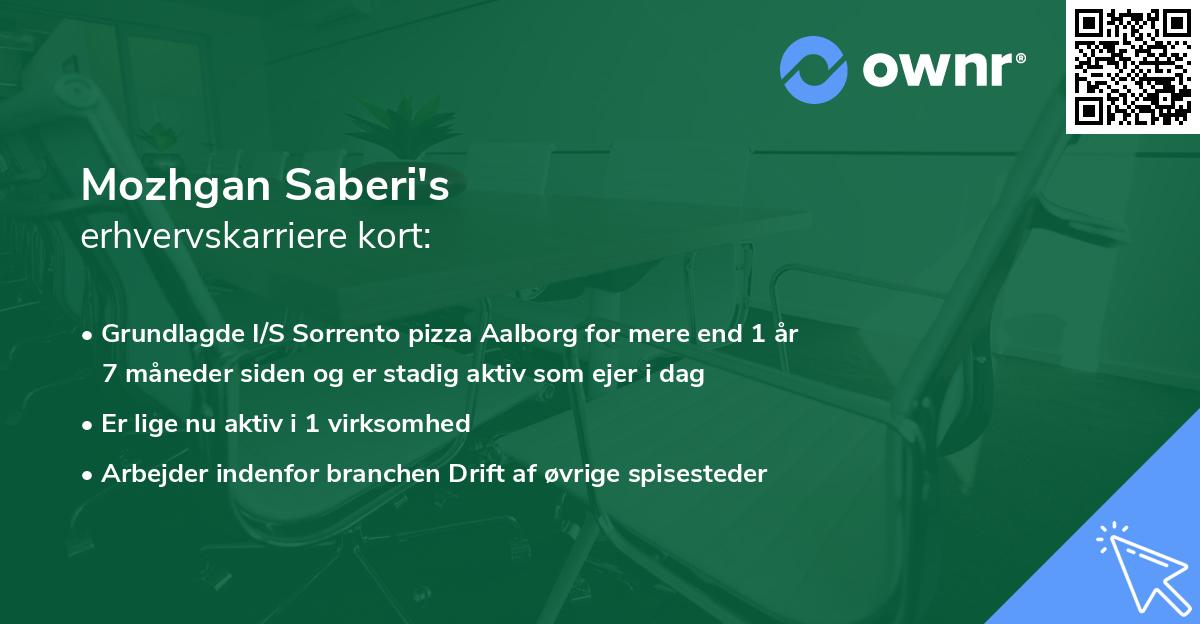 Mozhgan Saberi's erhvervskarriere kort