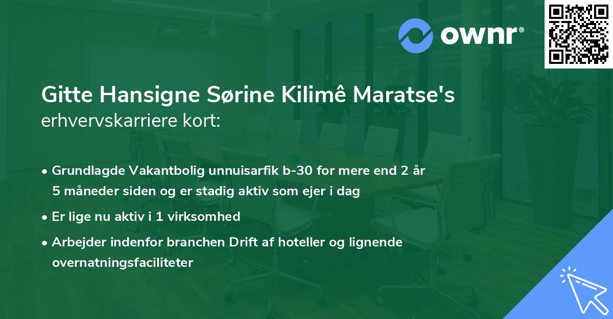 Gitte Hansigne Sørine Kilimê Maratse's erhvervskarriere kort