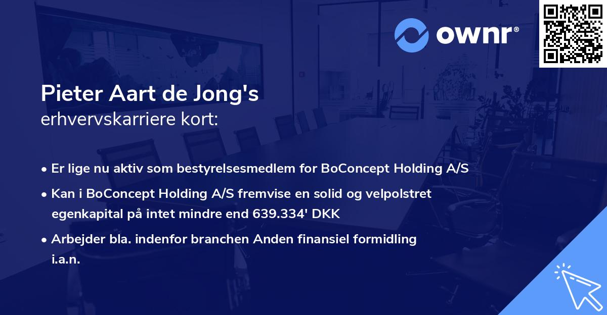 Pieter Aart de Jong's erhvervskarriere kort
