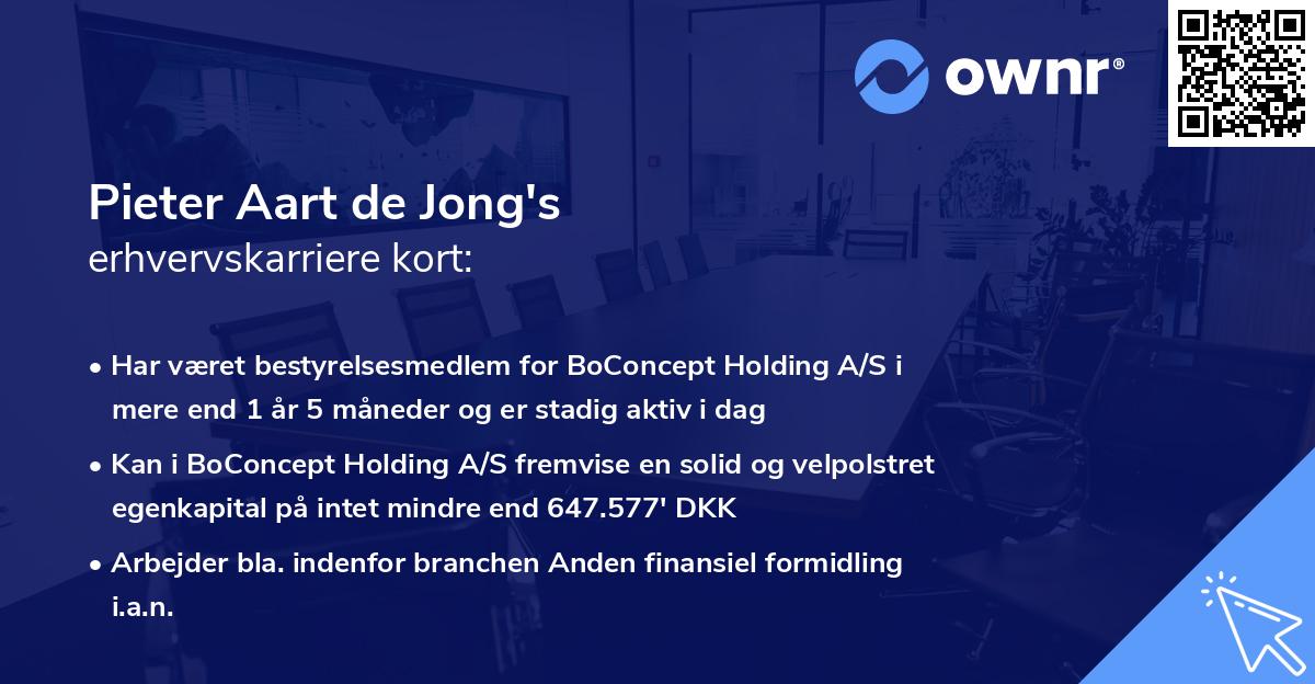 Pieter Aart de Jong's erhvervskarriere kort