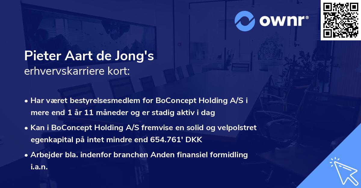 Pieter Aart de Jong's erhvervskarriere kort