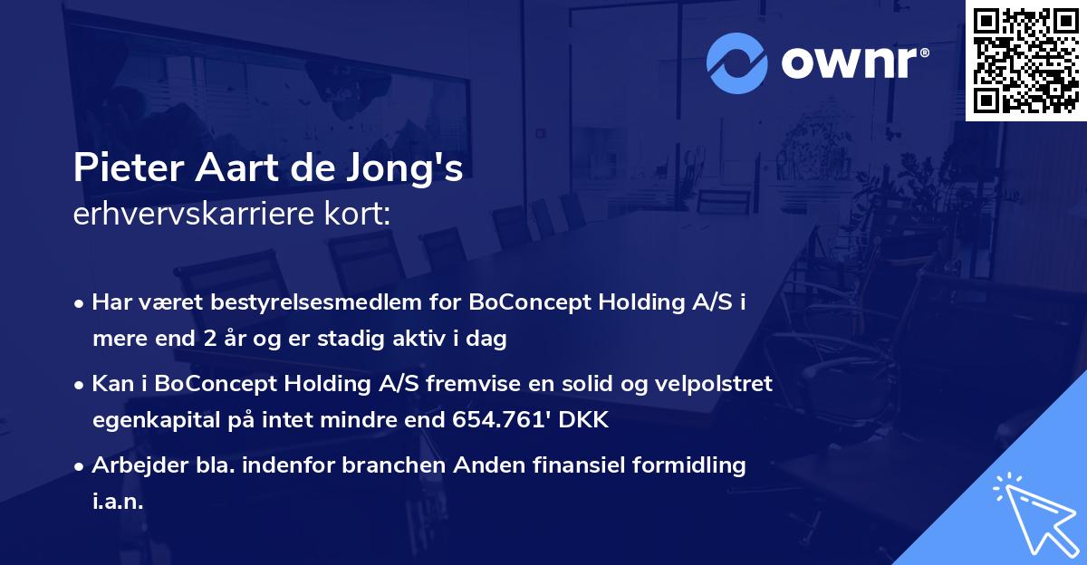 Pieter Aart de Jong's erhvervskarriere kort