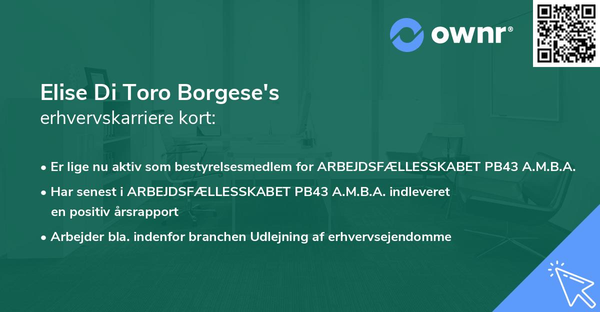 Elise Di Toro Borgese's erhvervskarriere kort