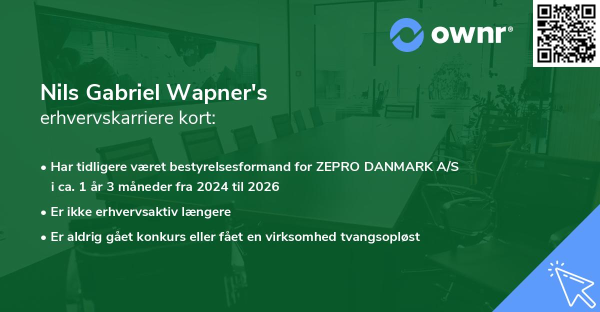 Nils Gabriel Wapner's erhvervskarriere kort