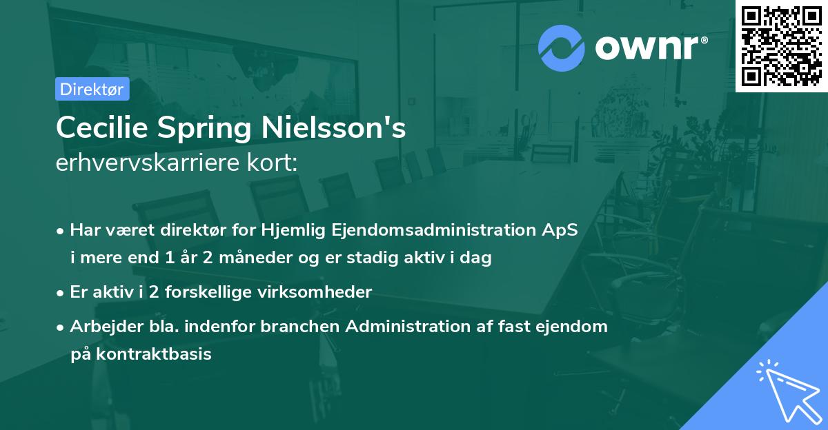 Cecilie Spring Nielsson's erhvervskarriere kort