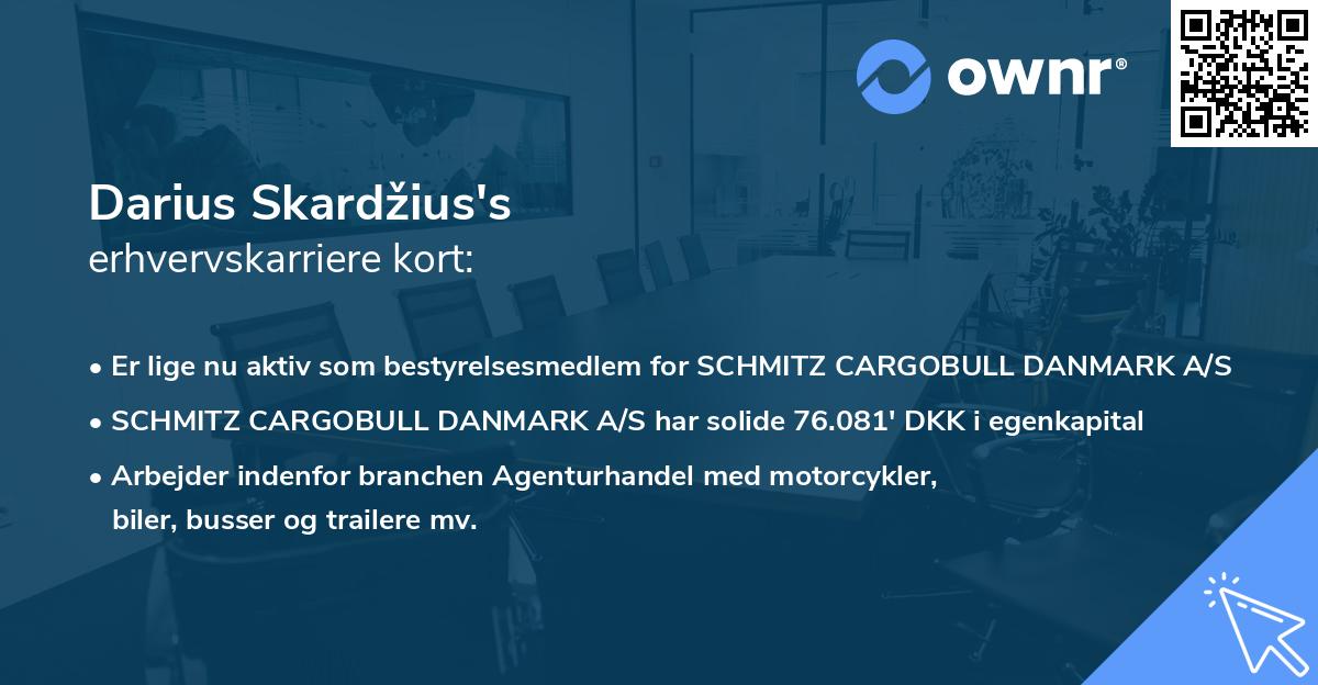 Darius Skardžius's erhvervskarriere kort
