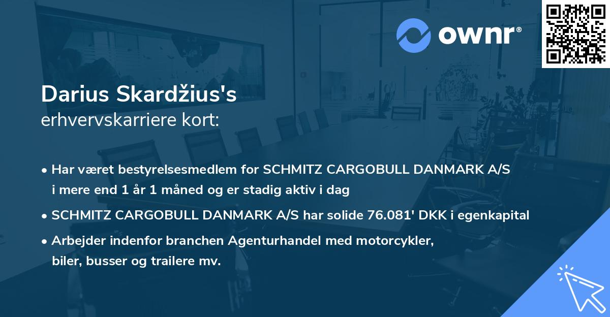 Darius Skardžius's erhvervskarriere kort