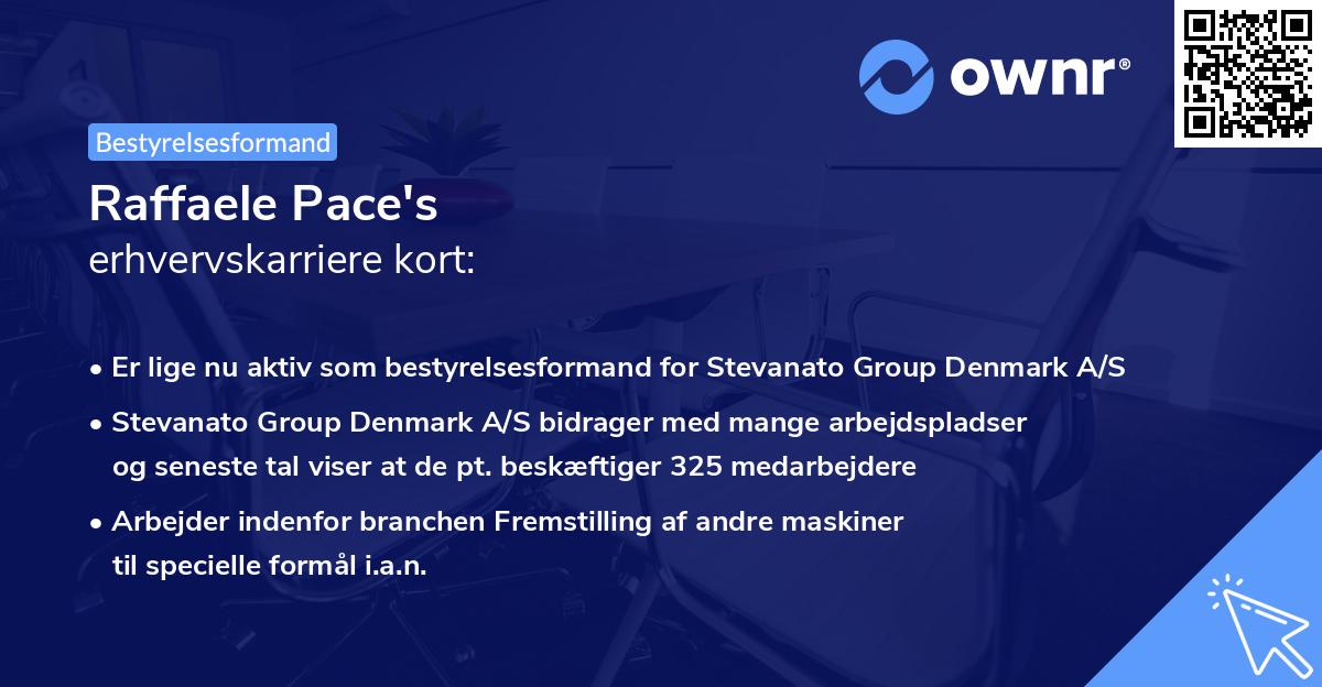 Raffaele Pace's erhvervskarriere kort