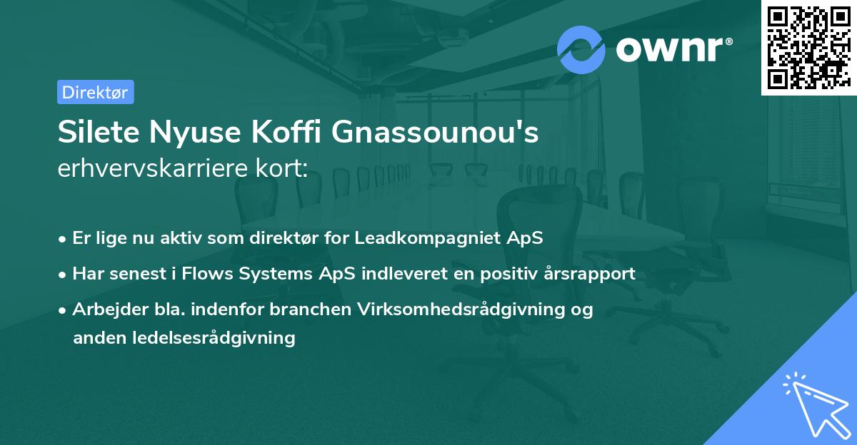 Silete Nyuse Koffi Gnassounou's erhvervskarriere kort