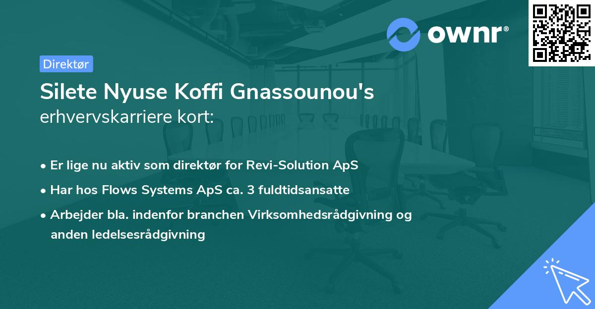 Silete Nyuse Koffi Gnassounou's erhvervskarriere kort