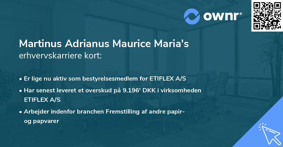 Martinus Adrianus Maurice Maria's erhvervskarriere kort