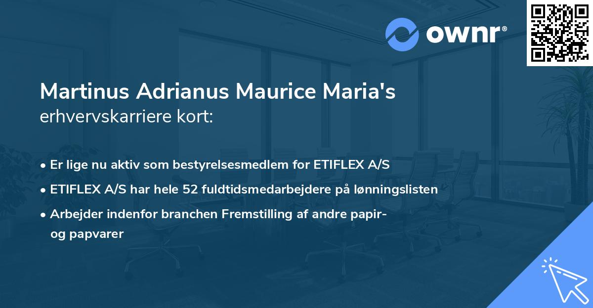 Martinus Adrianus Maurice Maria's erhvervskarriere kort