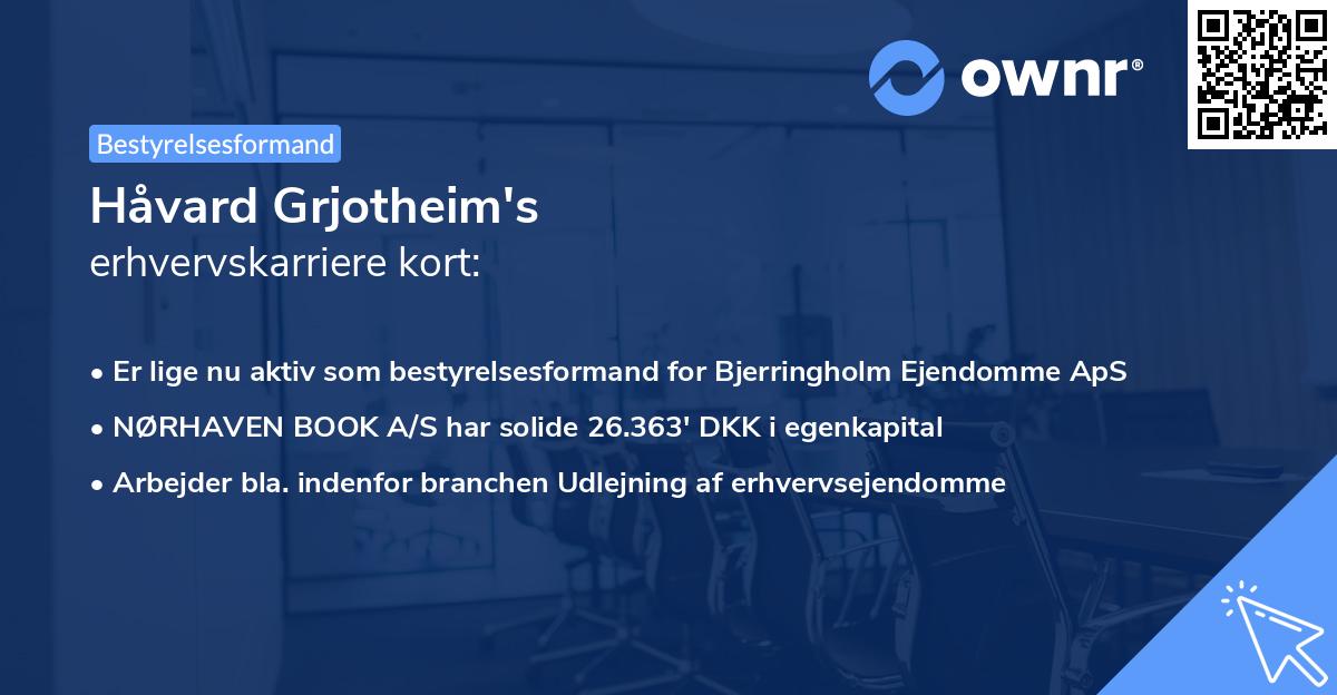 Håvard Grjotheim's erhvervskarriere kort