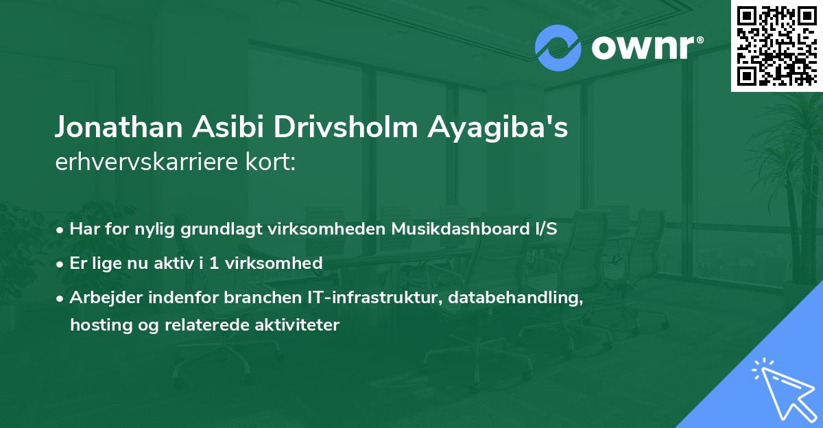 Jonathan Asibi Drivsholm Ayagiba's erhvervskarriere kort