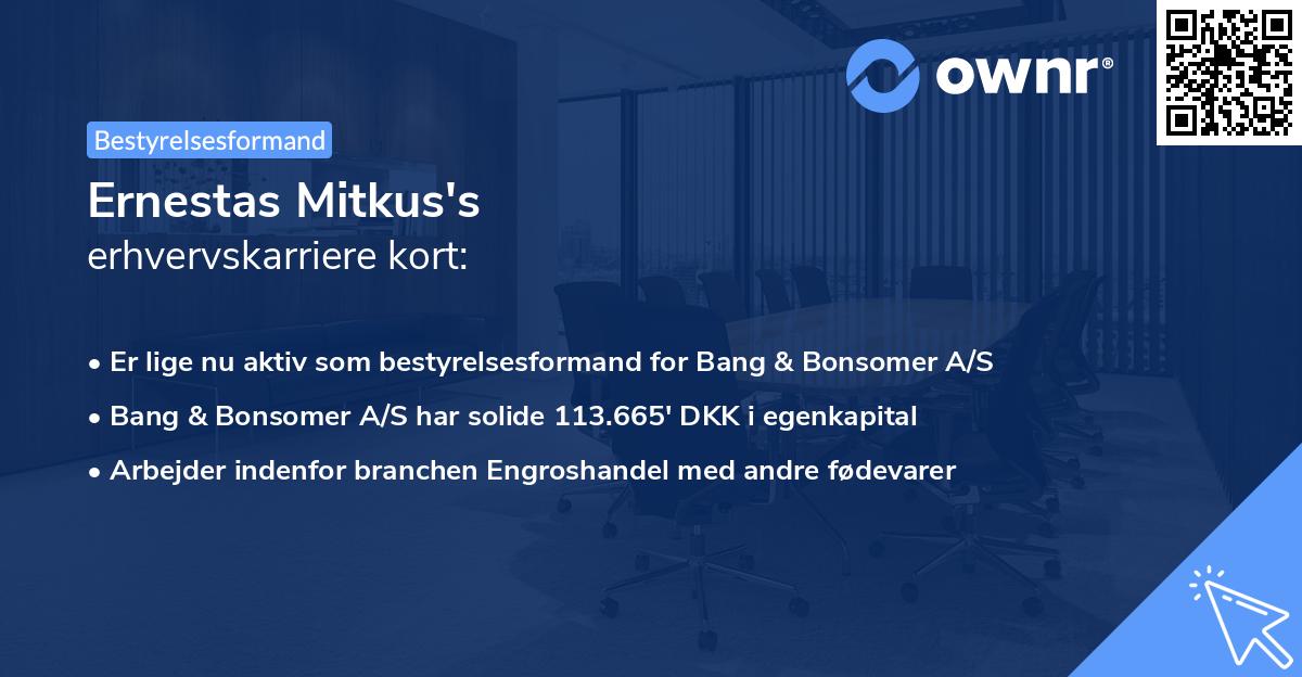 Ernestas Mitkus's erhvervskarriere kort