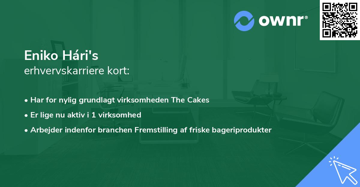 Eniko Hári's erhvervskarriere kort
