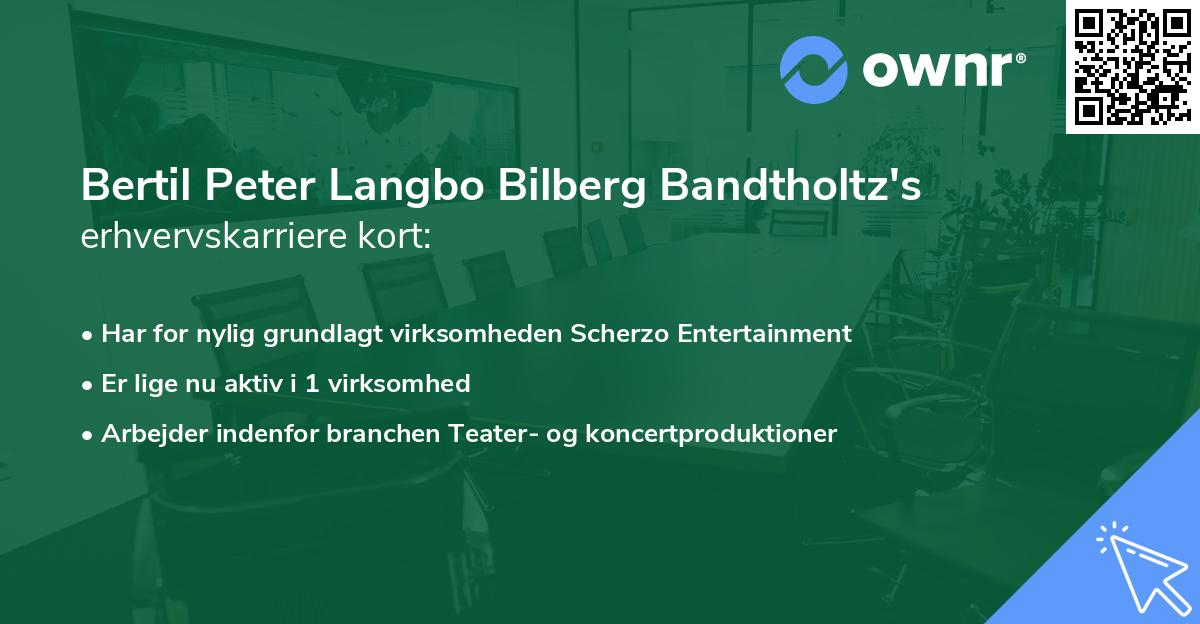 Bertil Peter Langbo Bilberg Bandtholtz's erhvervskarriere kort