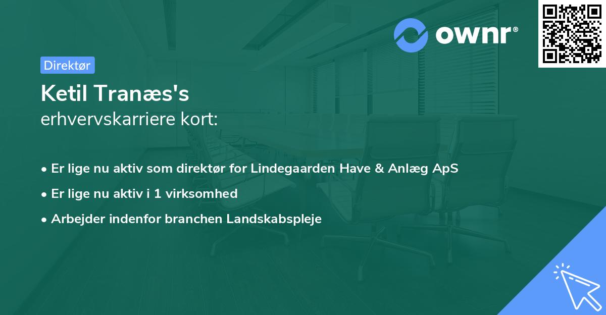 Ketil Tranæs's erhvervskarriere kort