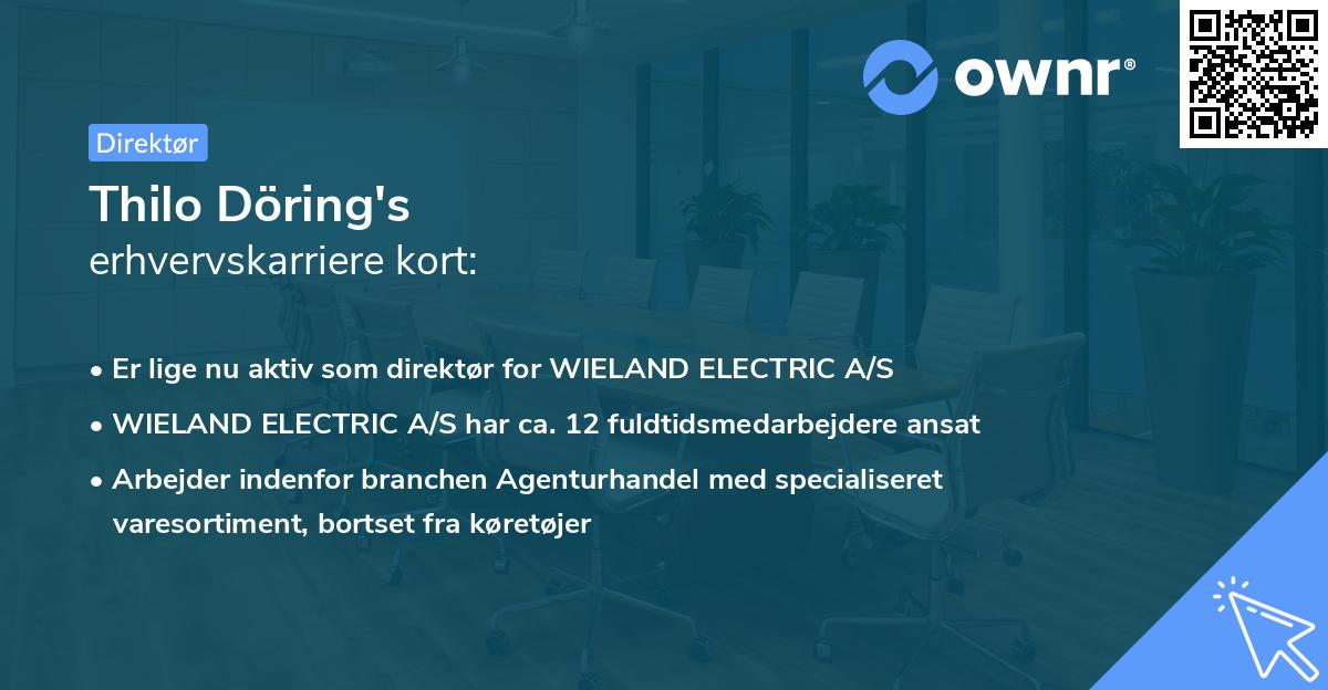 Thilo Döring's erhvervskarriere kort