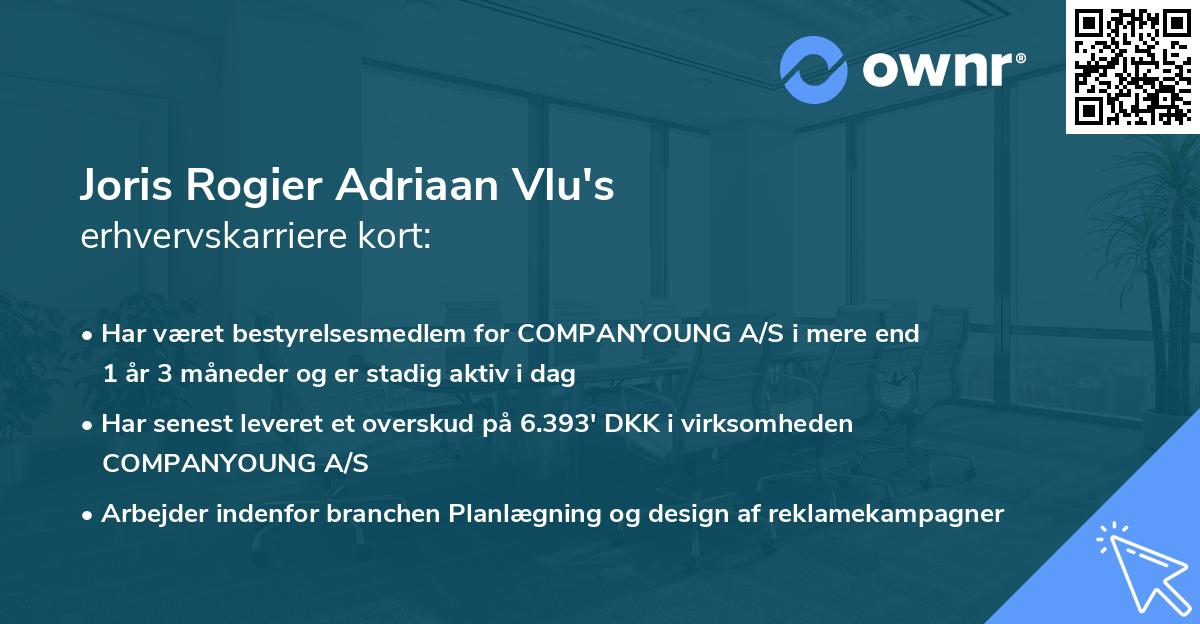 Joris Rogier Adriaan Vlu's erhvervskarriere kort