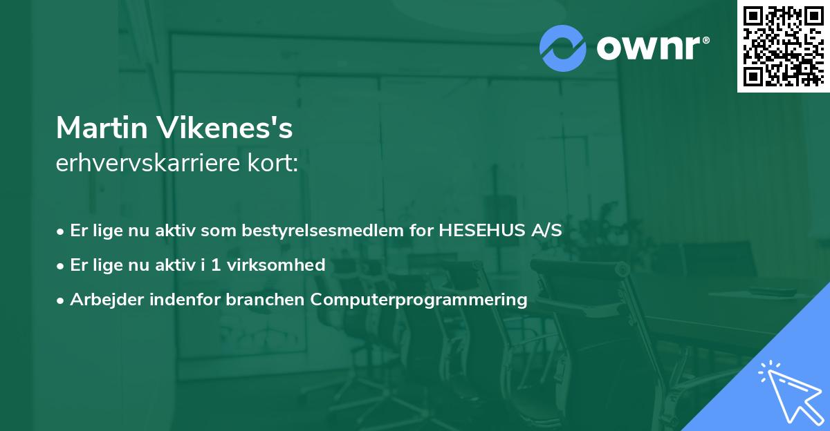 Martin Vikenes's erhvervskarriere kort