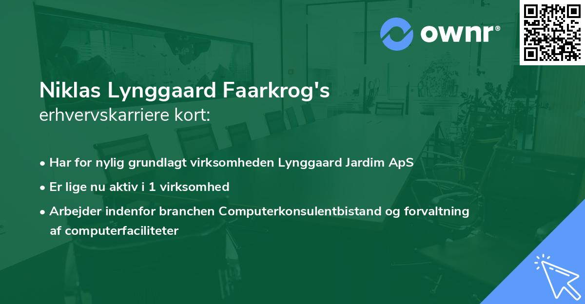 Niklas Lynggaard Faarkrog's erhvervskarriere kort