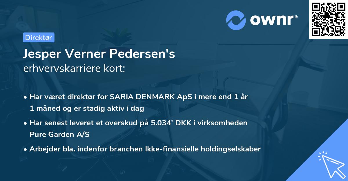 Jesper Verner Pedersen's erhvervskarriere kort